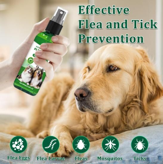 Flea and Tick Spray 100 ml each Pack of 2